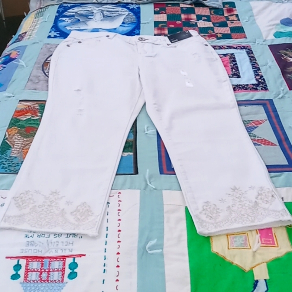 NWT,Cute,a.n.a,Lightly Distressed, Ankle/Crop,Jeans with Embroidered Frayed Hems